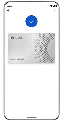Google Wallet phone